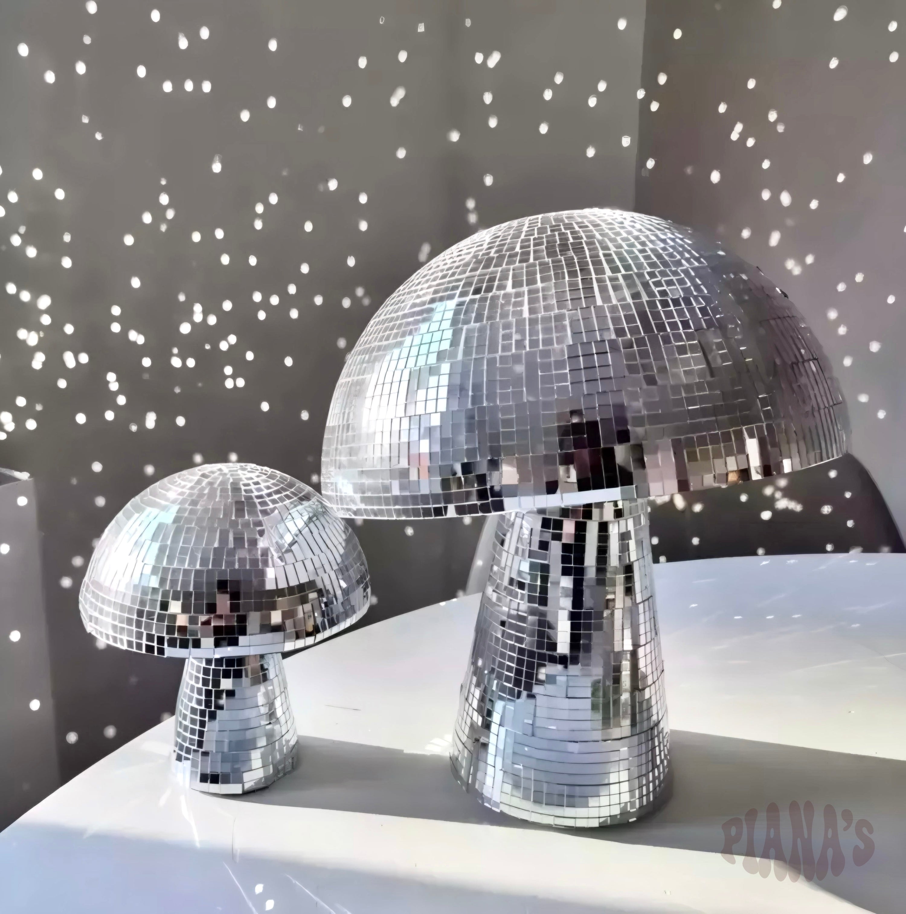 Hongo Disco