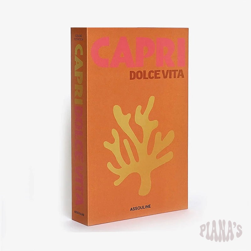Caja Libro Decorativa
